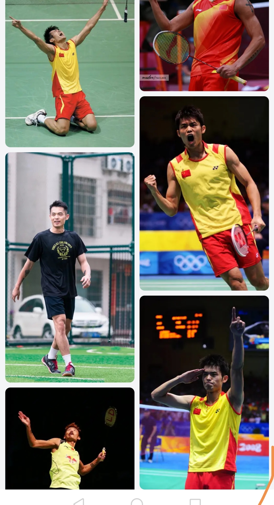 日本羽毛球队绝地反击印尼羽毛球队，林丹统治全场的简单介绍