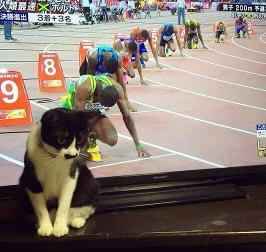 球场上的精彩对决让人目不转睛的简单介绍