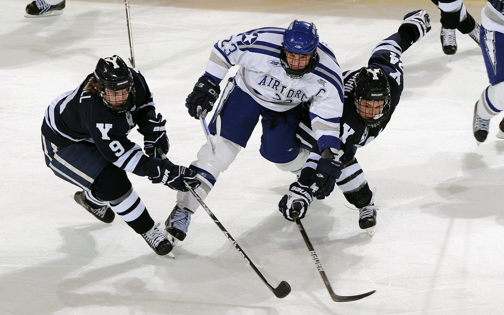 LOL英雄联盟投注平台-哈利伯顿的魔法与北境之师的沉稳，一场关于掌控力的双重奏