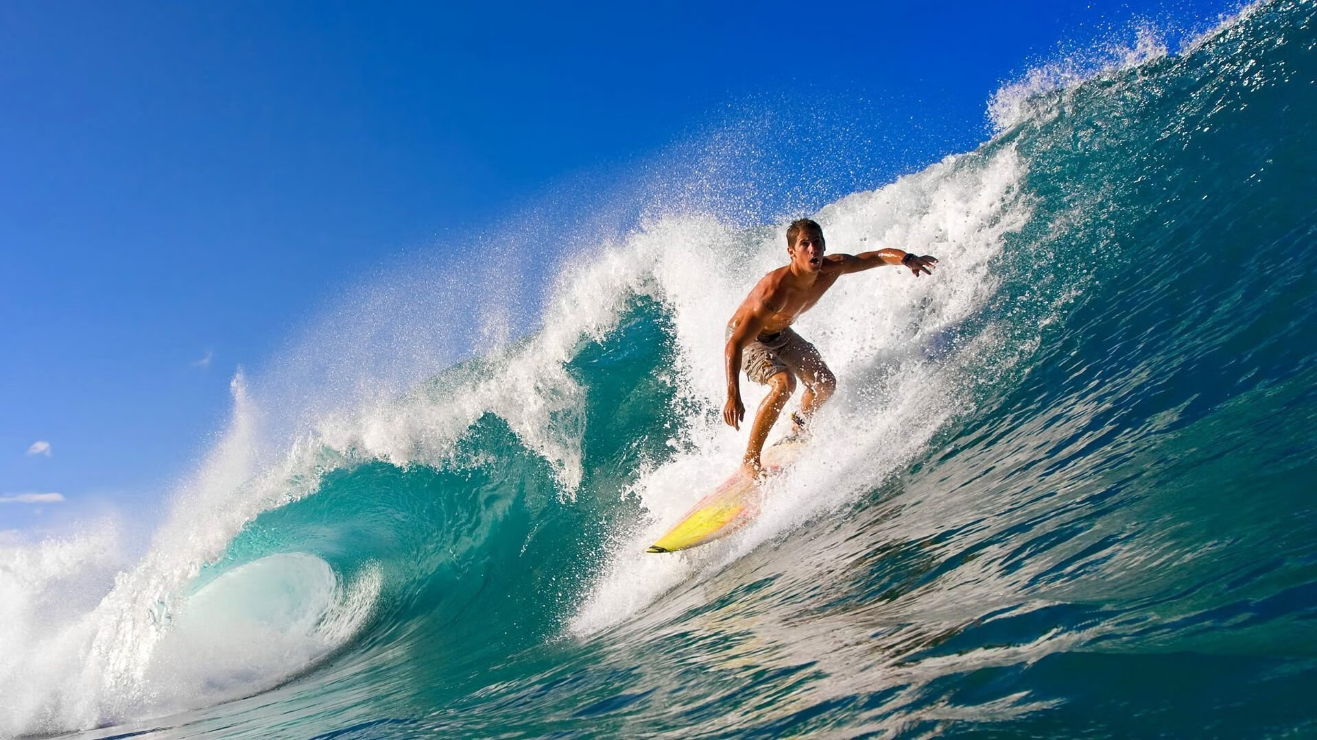 夜之独舞，富安健洋与他的唯一赛道